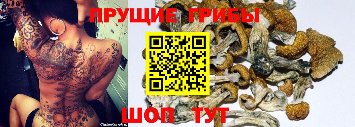 Метамфетамин Ишим